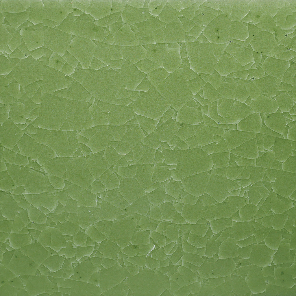 KI-46 Frozen Fern Kiln Ice Glaze by Amaco