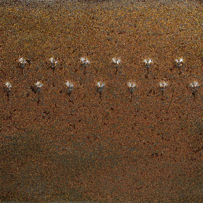 PC-69 Pt Cosmic Gold Dust