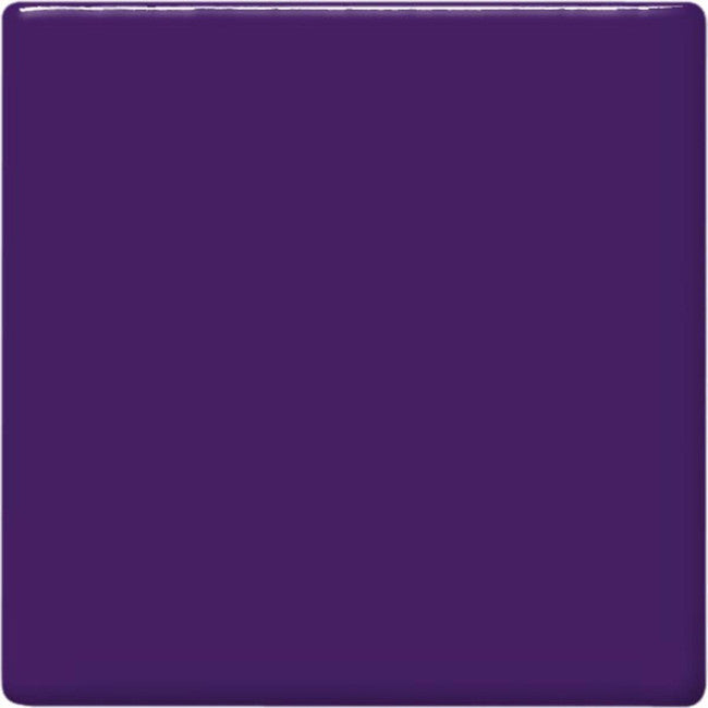 TP-51 PT GRAPE