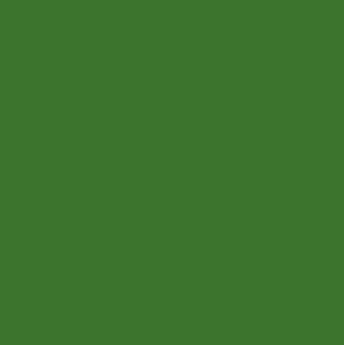 6271 Mint Green
