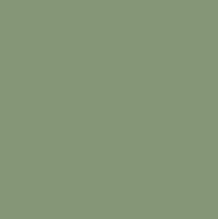 6572 Neutral Grey